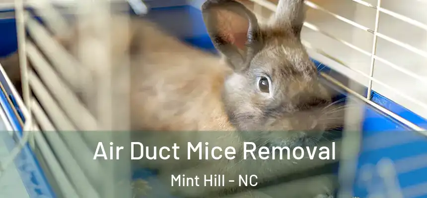  Air Duct Mice Removal Mint Hill - NC