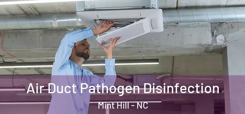 Air Duct Pathogen Disinfection Mint Hill - NC