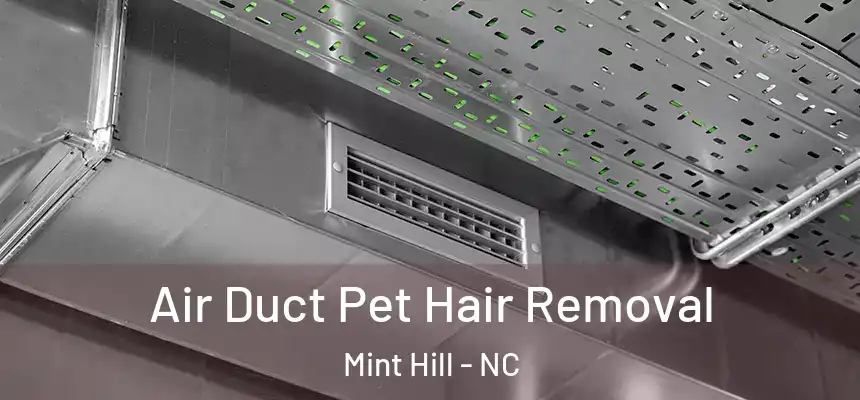  Air Duct Pet Hair Removal Mint Hill - NC