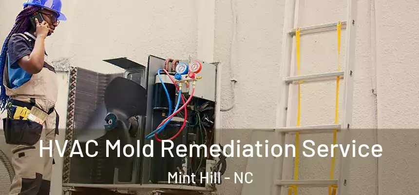  HVAC Mold Remediation Service Mint Hill - NC