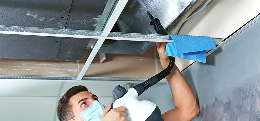 Our Air Duct Rodent Removal Services in Mint Hill, NC