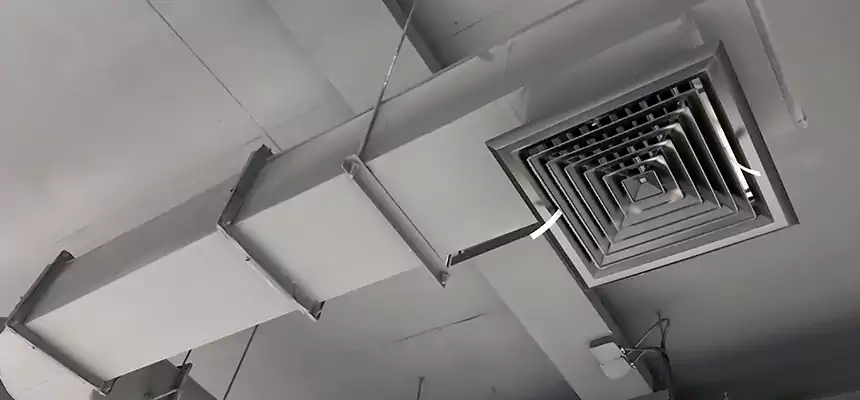 Our Pest Removal From Ducts Services in Mint Hill, NC