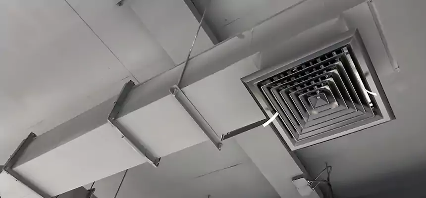 Our Rodent Droppings In Vents Services in Mint Hill, NC