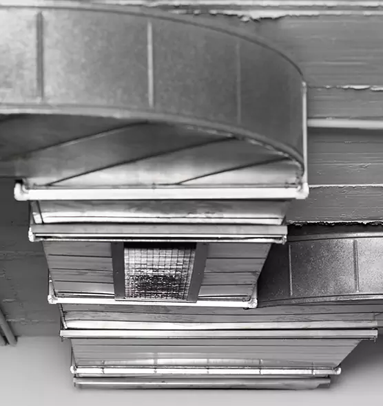 Professional Air Duct Pest Removal in Mint Hill, NC