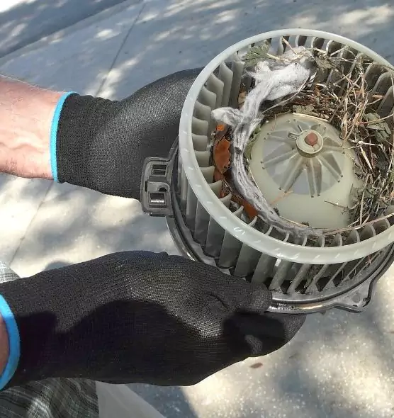 About Air Duct Rat Removal in Mint Hill, NC