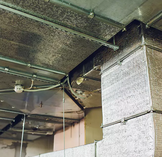 Why Homeowners & Businesses Trust Us in Mint Hill, NC?